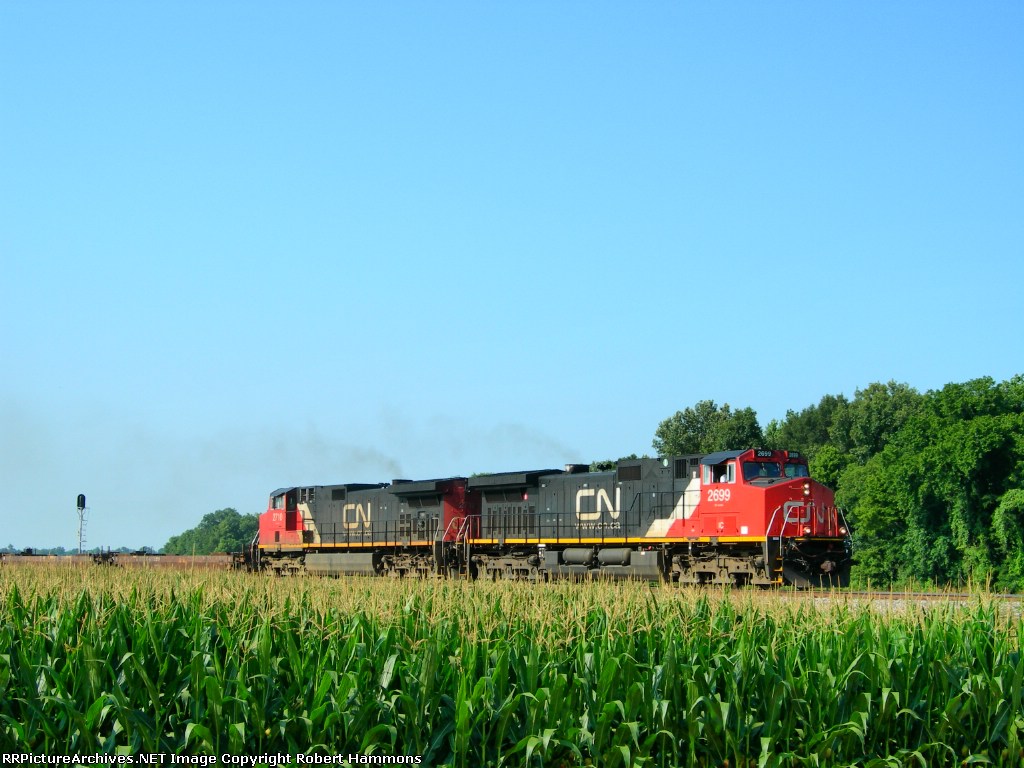 CN 2699